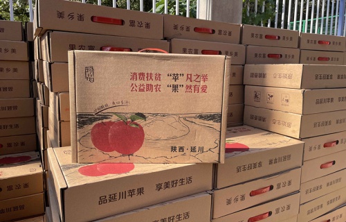 曾氏贵宾会·(中国游)股份有限公司液压“扶贫助农，振兴乡村”活动
